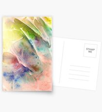 Metamorphosis Postcards