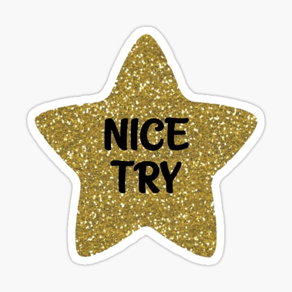 Gold Star Stickers, Adulting Reward Stickers, Novelty Gift, Vinyl Stickers,  Gag Gift, Funny Stickers, College Student Gift, Gift for Husband 