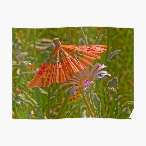 Umbrella for my daisy! Poster