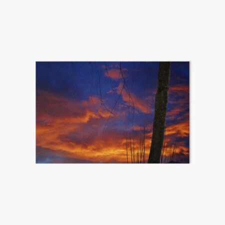 Sunset Blues Art Board Print