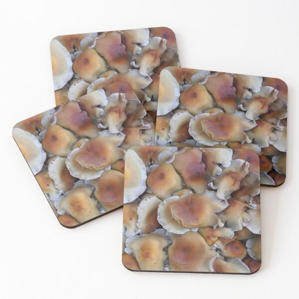 Item preview, Fungi. designed and sold by prestongeorge.
