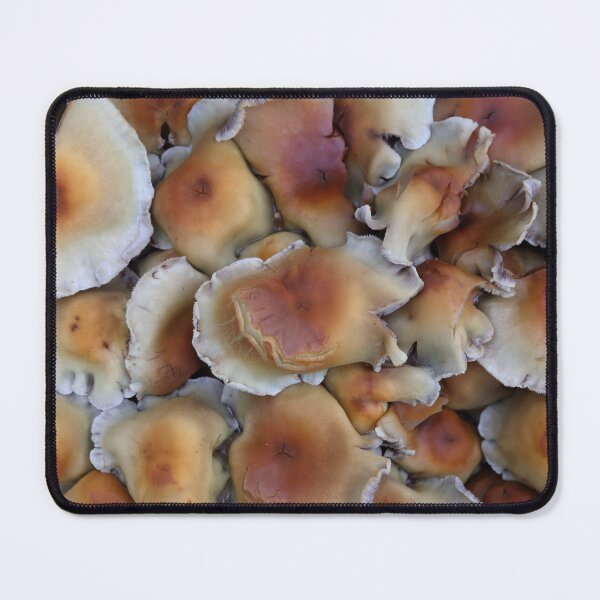 Item preview, Fungi. designed and sold by prestongeorge.