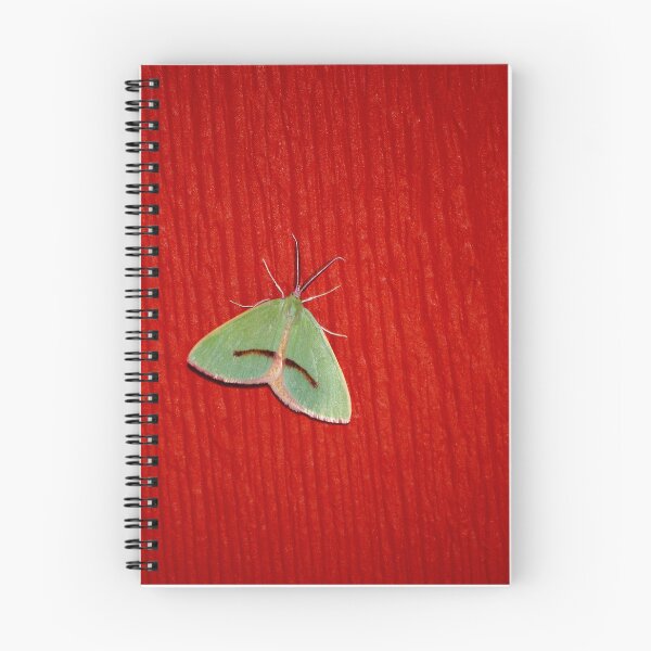 Item preview, Nowhere to Hide designed and sold by Vicki Pelham.