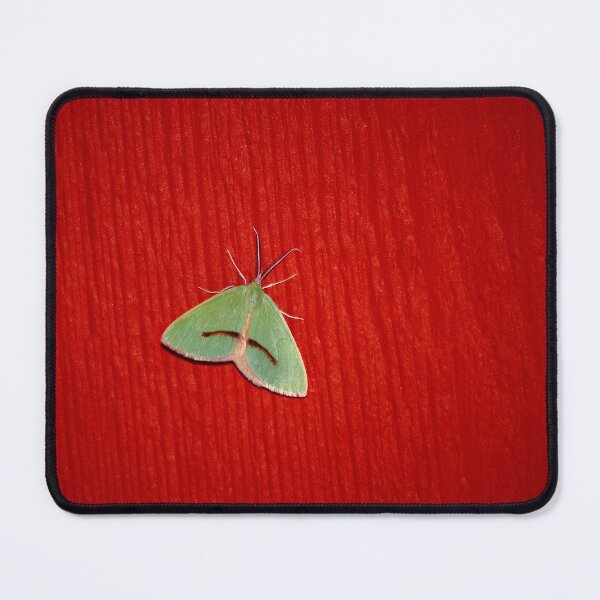 Item preview, Nowhere to Hide designed and sold by Vicki Pelham.