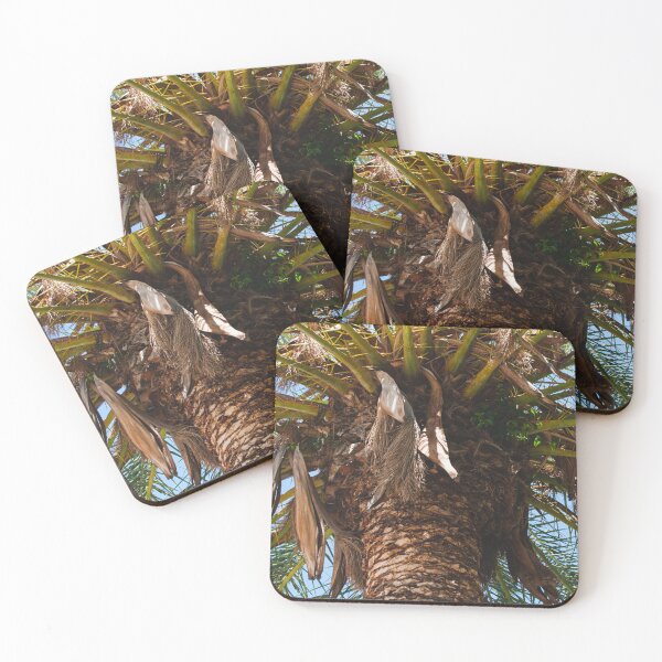 Item preview, palm-tree designed and sold by Bandahack.