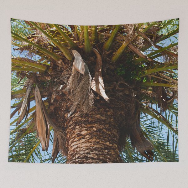 Item preview, palm-tree designed and sold by Bandahack.
