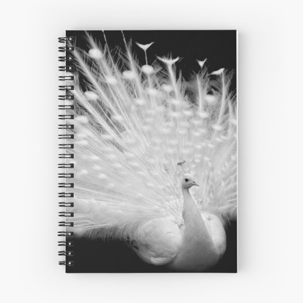 Item preview, White albino peacock bird posing designed and sold by AleFairyland.