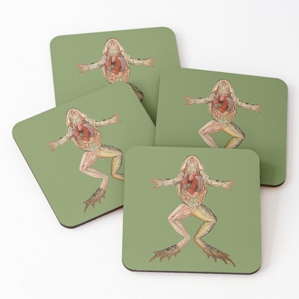 Item preview, Antique frog anatomy illustration designed and sold by monsterplanet.