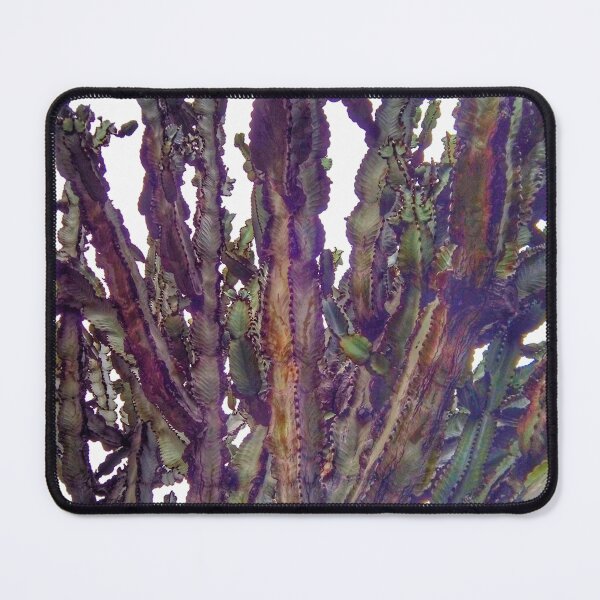 Item preview, Old cactus. designed and sold by Shikrolao.