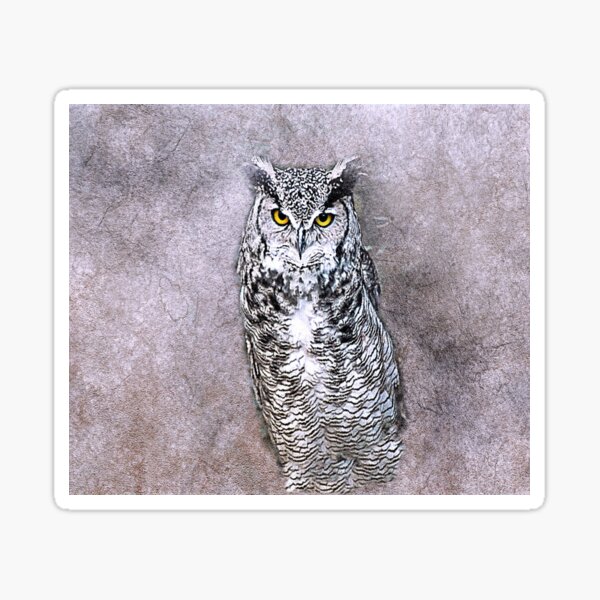 Item preview, Owl designed and sold by jolly3434.