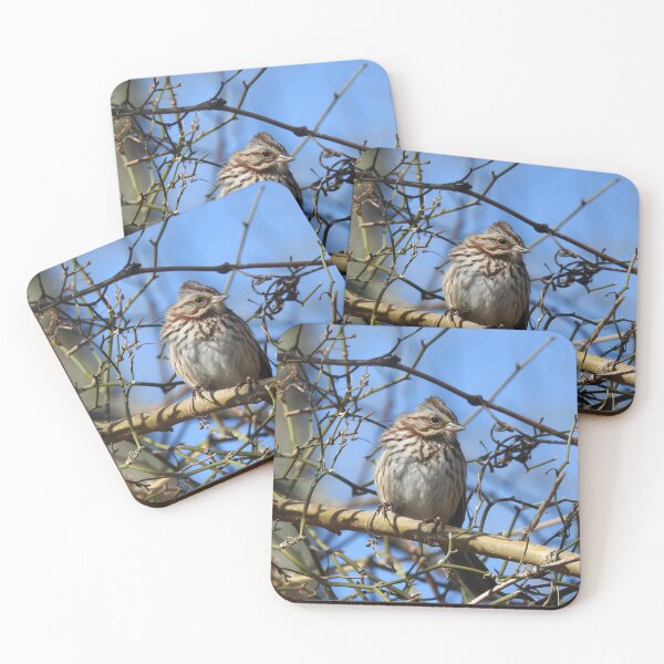 Item preview, Wild birds, sparrow, wildlife gifts designed and sold by Sandra O'Toole.