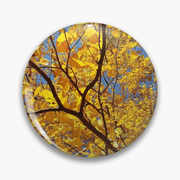 Item preview, Golden Fall Foliage Against Vivid Blue Sky designed and sold by Kim Arnott.
