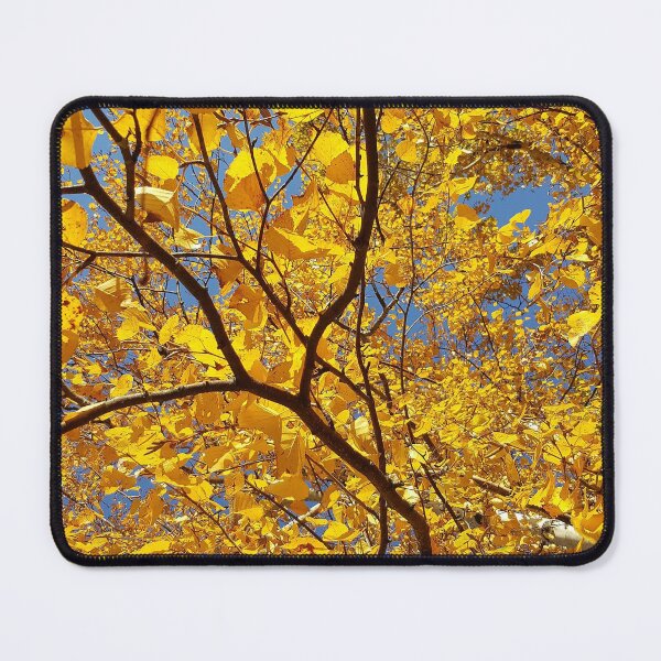 Item preview, Golden Fall Foliage Against Vivid Blue Sky designed and sold by Kim Arnott.