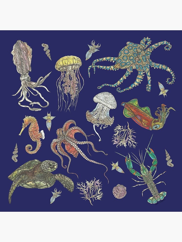 Deep Sea Postcard 