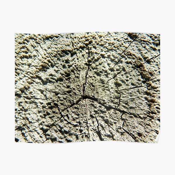 Hidden Message Wall Art | Redbubble