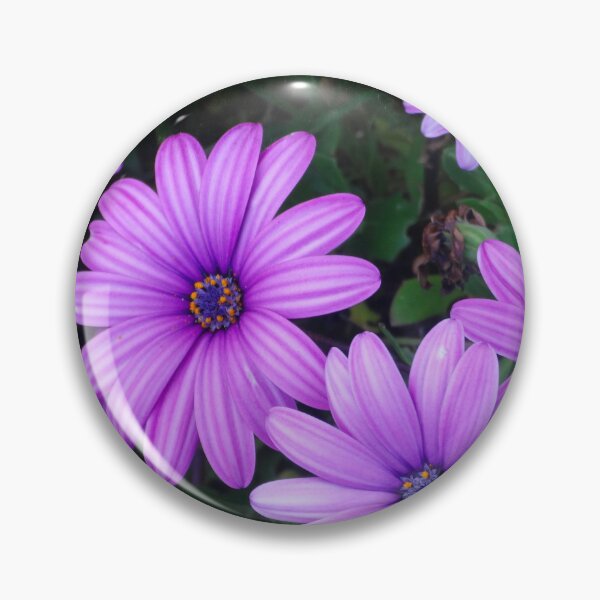 Item preview, Daisy madness designed and sold by Maxiverse.