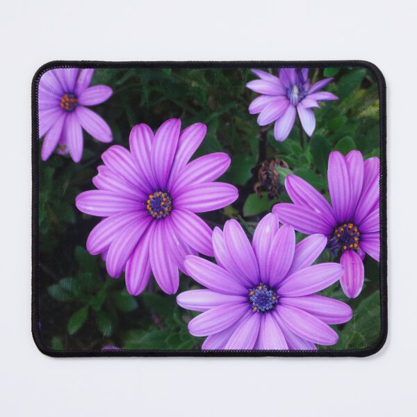 Item preview, Daisy madness designed and sold by Maxiverse.