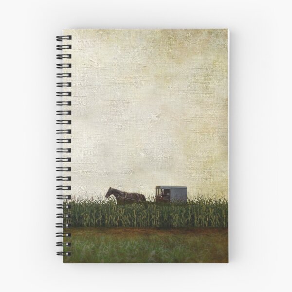 Artikelvorschau, Amish Pferd und Buggy entworfen und verkauft von AJ-artography.