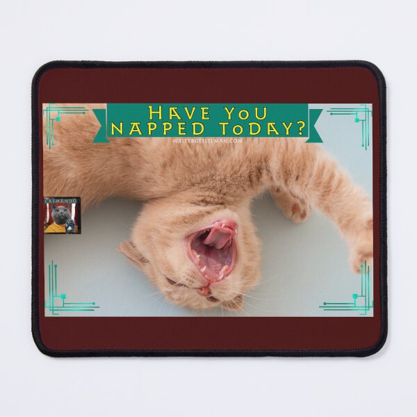 Item preview, Have you napped today? designed and sold by Walter G. Esselman.