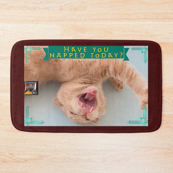 Item preview, Have you napped today? designed and sold by Walter G. Esselman.