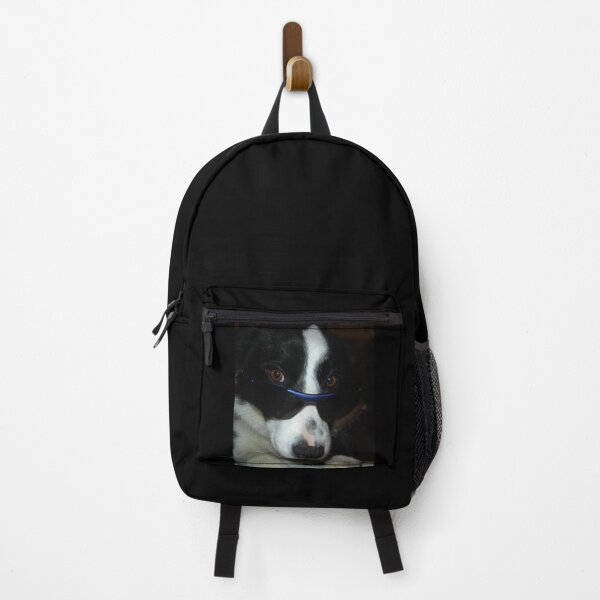 Item preview, Cool Dog designed and sold by Shikrolao.