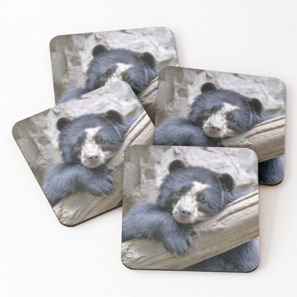 Item preview, Cute Andean (Spectacled) Bear Cub designed and sold by SuzyGoesBirding.