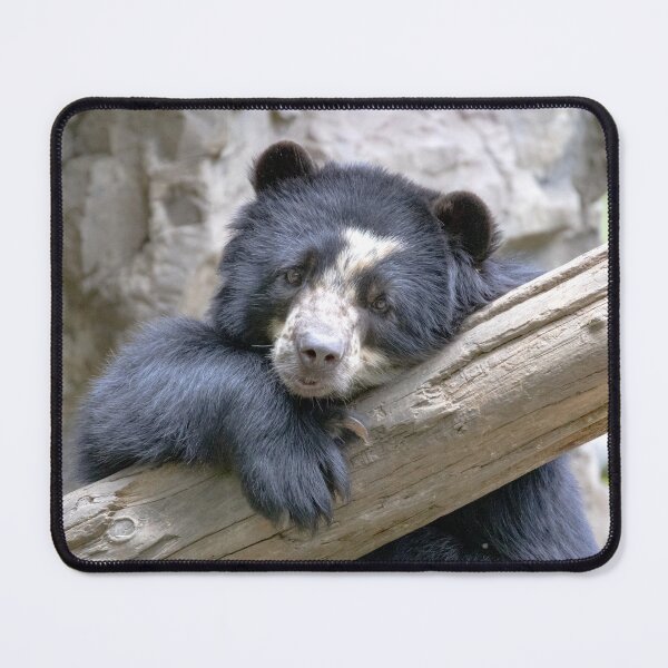 Item preview, Cute Andean (Spectacled) Bear Cub designed and sold by SuzyGoesBirding.
