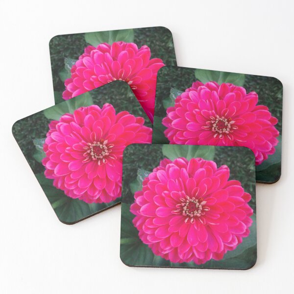 Item preview, Dahlia star designed and sold by Maxiverse.