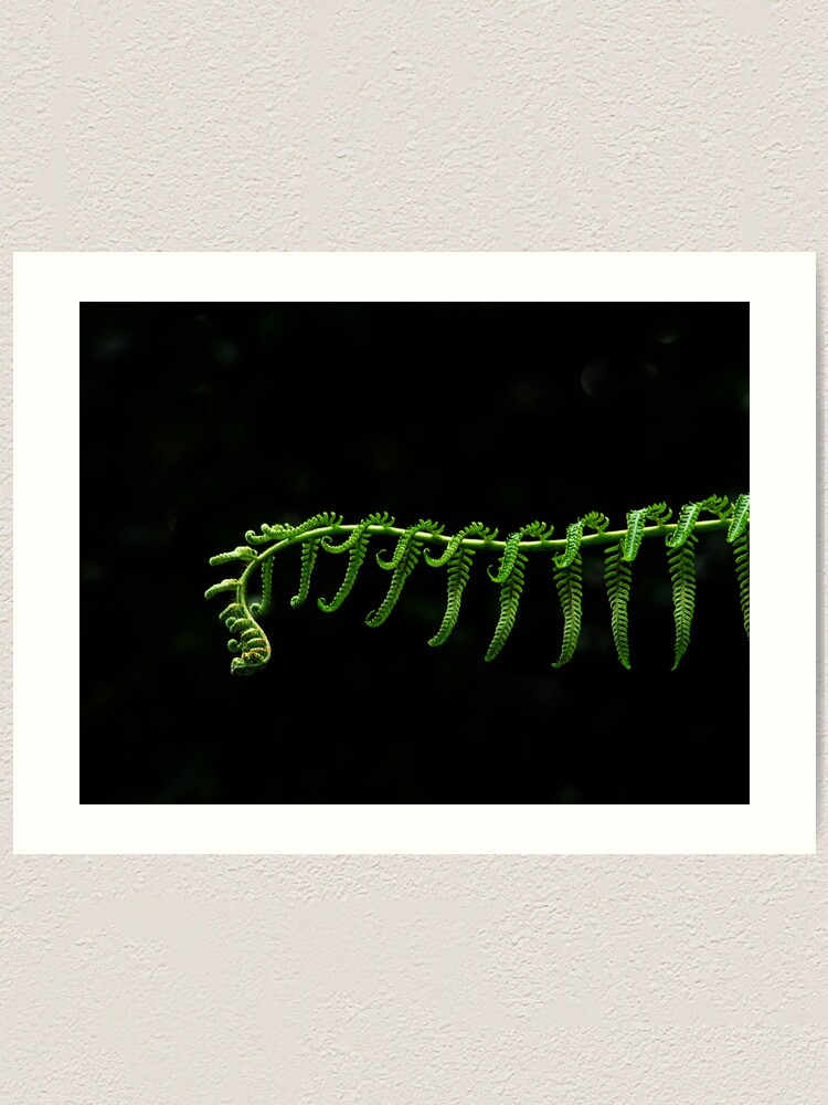 Alternate view of Fern Frond Art Print