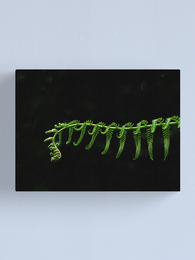 Alternate view of Fern Frond Canvas Print