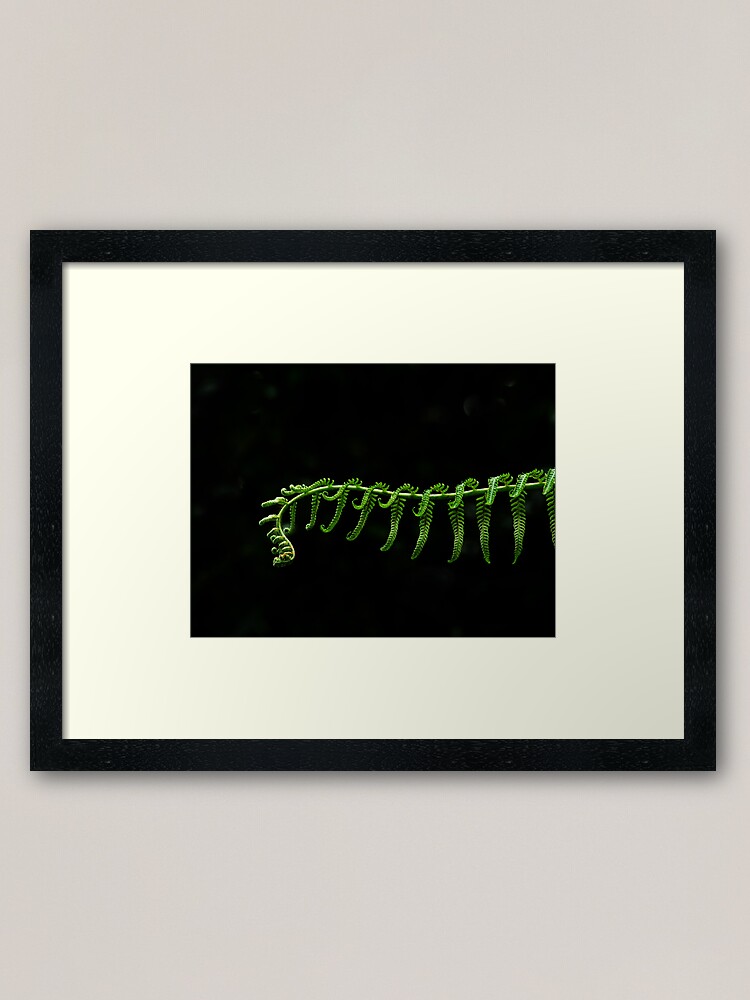 Alternate view of Fern Frond Framed Art Print