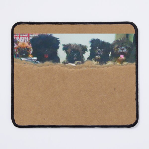 Item preview, FUR BUNCH FUR BESTFRIENDS designed and sold by koreanbug.