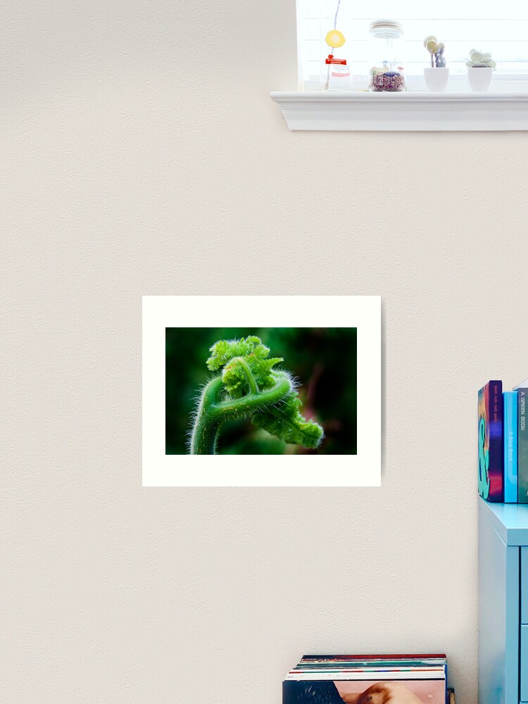Thumbnail 1 of 3, Art Print, Fern Frond 2 designed and sold by theoddshot.