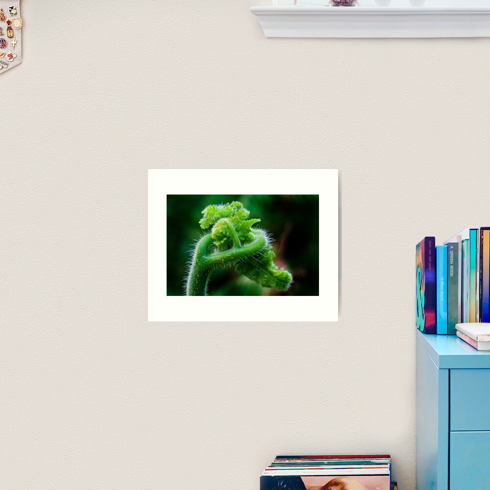 Fern Frond 2 Art Print