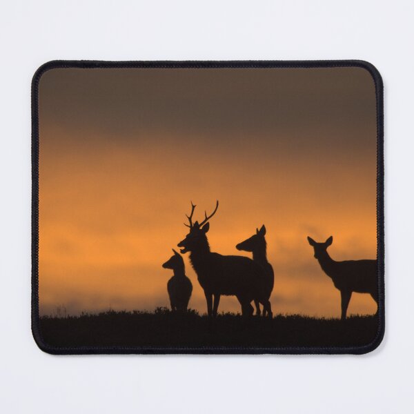Item preview, Red Deer designed and sold by Macrae images.