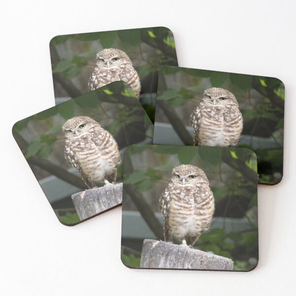 Item preview, Grumpy Burrowing Owl designed and sold by SuzyGoesBirding.