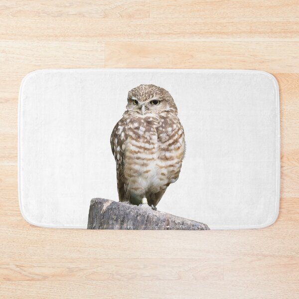Item preview, Grumpy Burrowing Owl designed and sold by SuzyGoesBirding.