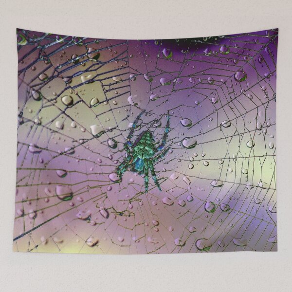Item preview, Raindrops - Spiders Web designed and sold by Alius Imago.