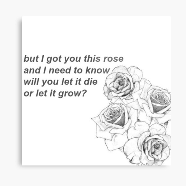 Shawn Mendes Song Lyrics Wall Art Redbubble