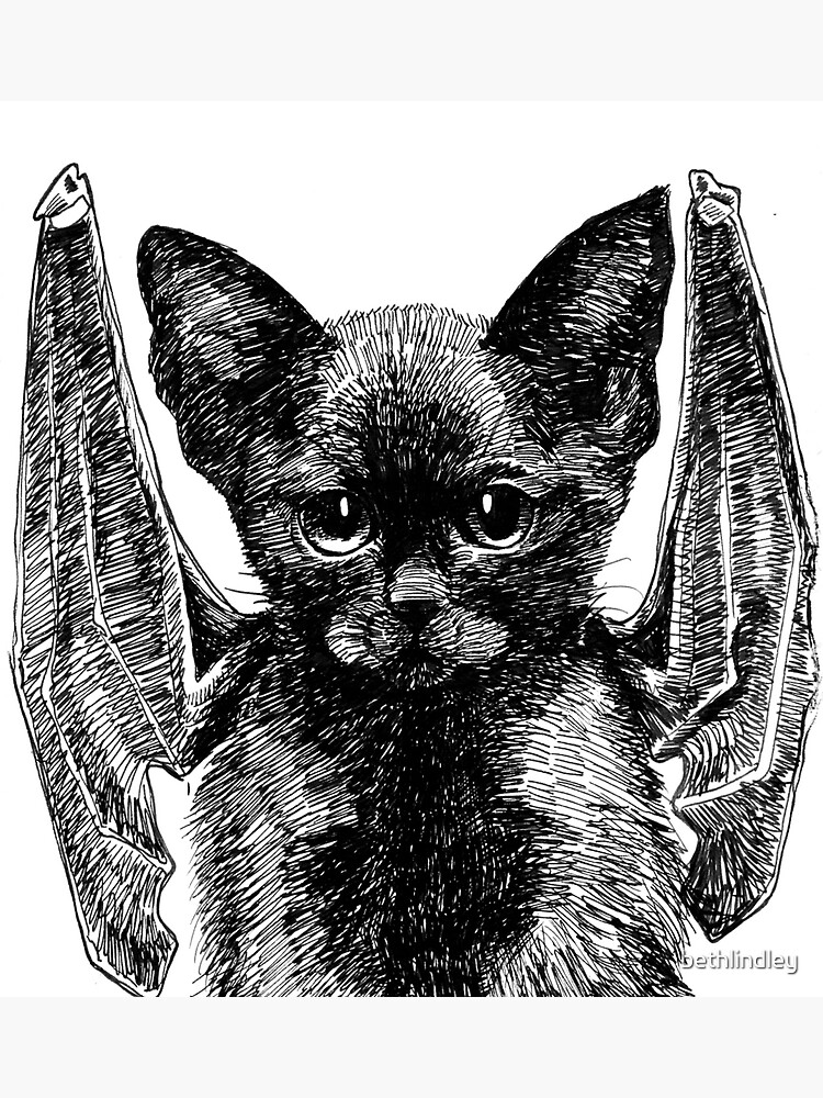 Bat cat inktober drawing by bethlindley