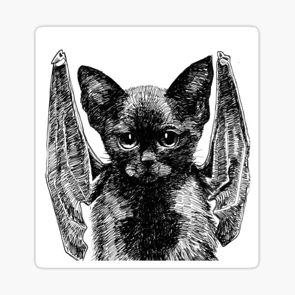 Bat cat inktober drawing Sticker