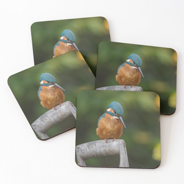 Item preview, The Common Kingfisher designed and sold by Steve Liptrot Photography.