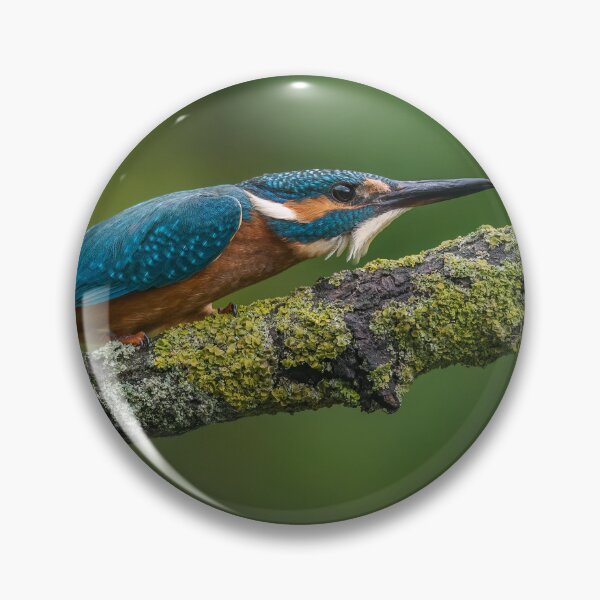 Item preview, The Common Kingfisher designed and sold by Steve Liptrot Photography.