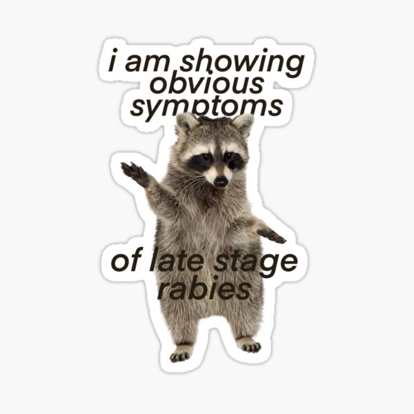 I Have Rabies Raccoon Sticker For Sale By Adxastra Redbubble 4333