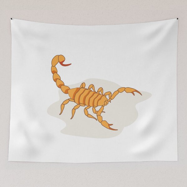 Item preview, Illustration of scorpion arachnid insect. Ideal for etymology and educational materials designed and sold by LucianoCosmo.
