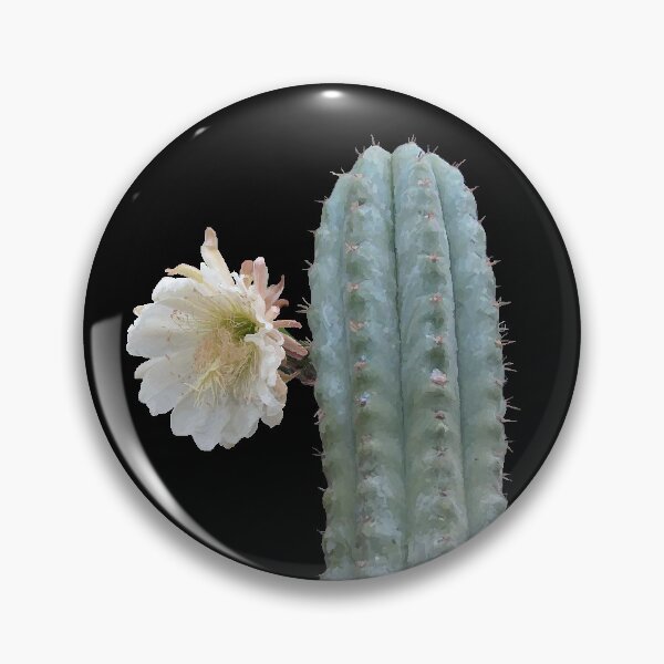 Item preview, Cactus of the Four Winds ; Echinopsis pachanoi designed and sold by gaia-crypt.