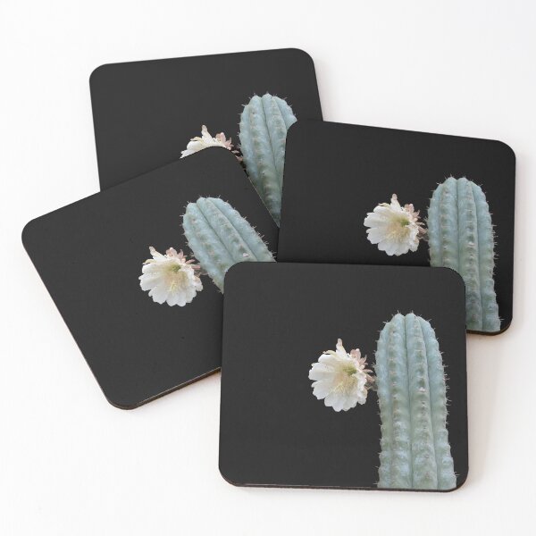 Item preview, Cactus of the Four Winds ; Echinopsis pachanoi designed and sold by gaia-crypt.