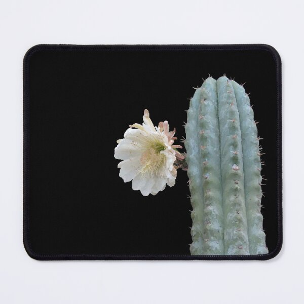 Item preview, Cactus of the Four Winds ; Echinopsis pachanoi designed and sold by gaia-crypt.