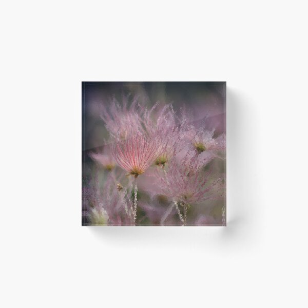 Item preview, "Iced Pink" ~ Apache Plume designed and sold by Vicki Pelham.
