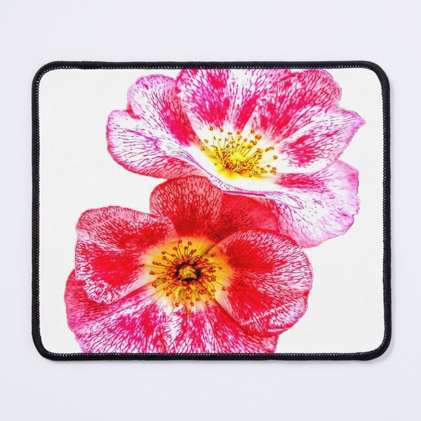 Item preview, rosa selvatica designed and sold by Infinito2008.